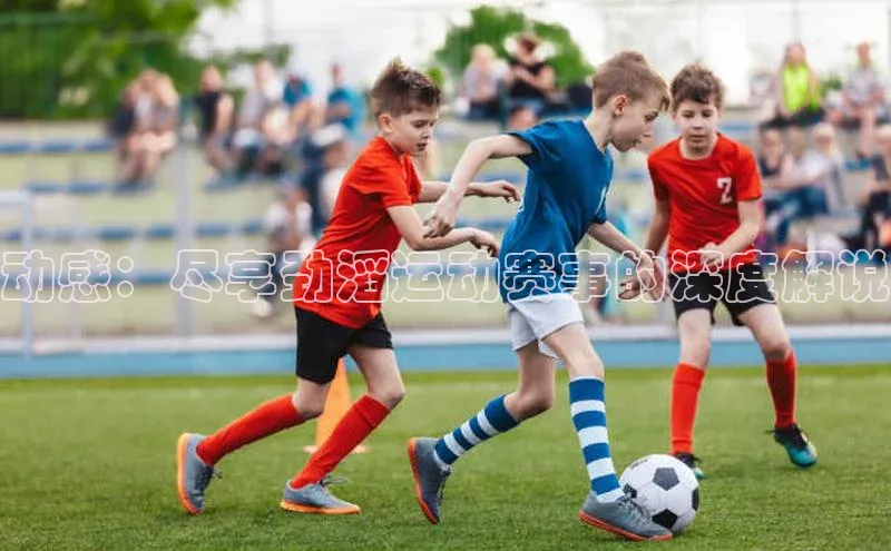 星空app官网登录百度集团动感：尽享劲滔运动赛事的深度解说