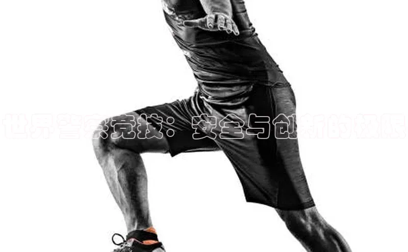 世界警察竞技：安全与创新的极限