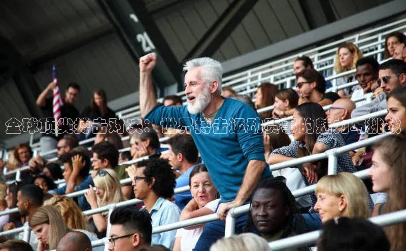 全球顶尖搏击对决：世界搏击运动赛事的魅力与挑战