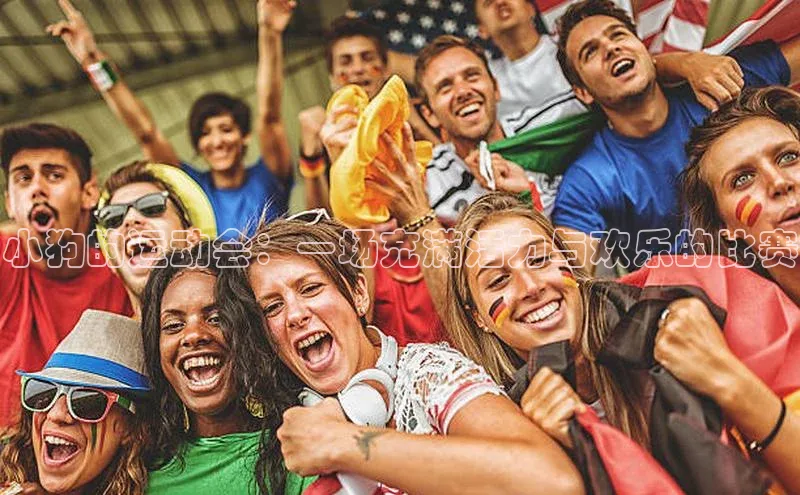 小狗的运动会：一场充满活力与欢乐的比赛