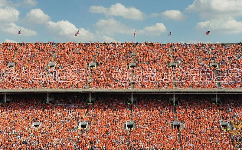 萍乡运动盛事：一场视觉与激情的盛宴