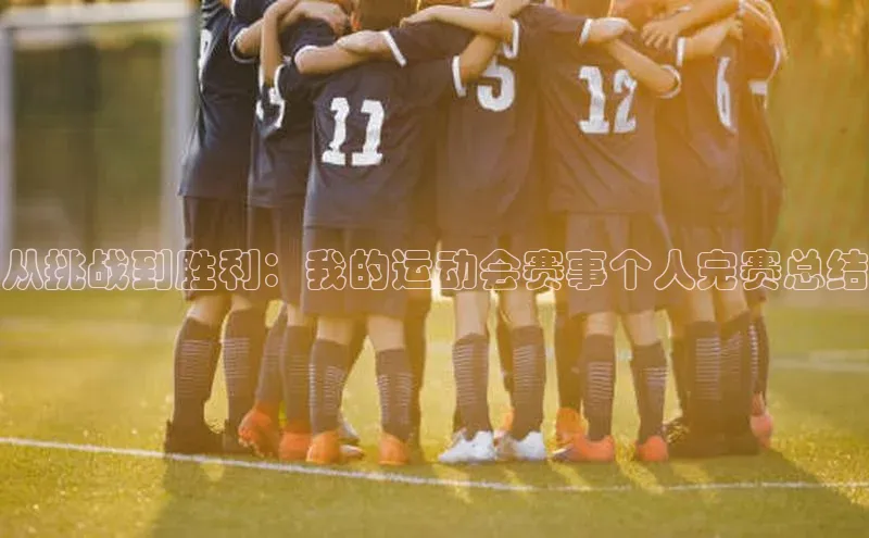 从挑战到胜利：我的运动会赛事个人完赛总结