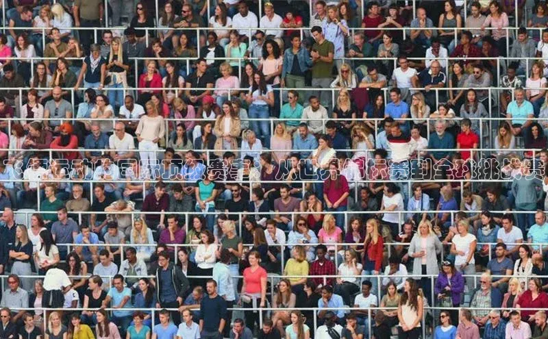 飞镖运动的国际顶级赛事：从世界锦标赛到全球挑战赛