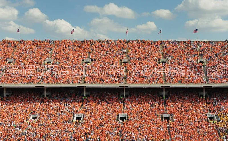 运动员表现与团队协作：运动会赛事表底板