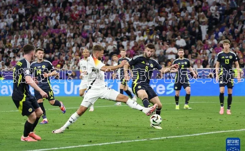 荣耀时刻：运动赛事中的冠军徽章