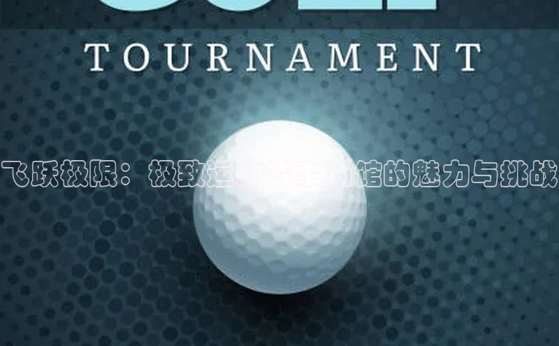 飞跃极限：极致运动赛事场馆的魅力与挑战