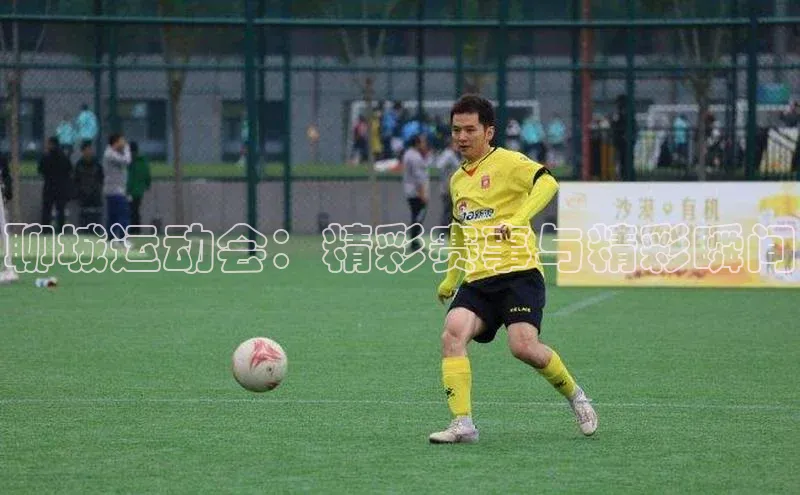 聊城运动会：精彩赛事与精彩瞬间