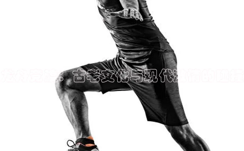 龙舟竞渡：古老文化与现代激情的碰撞