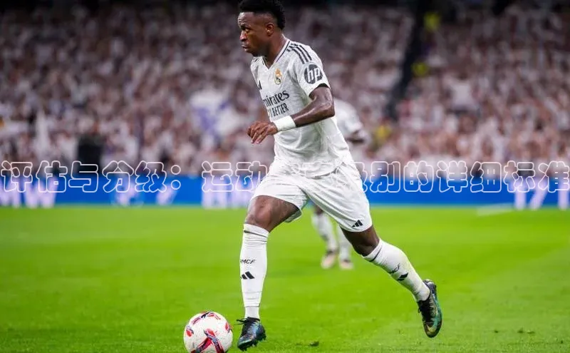 星空体育入口app