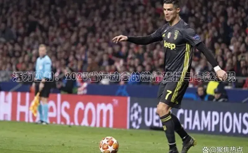 活力四射：2023省运动会的激情碰撞与卓越表现