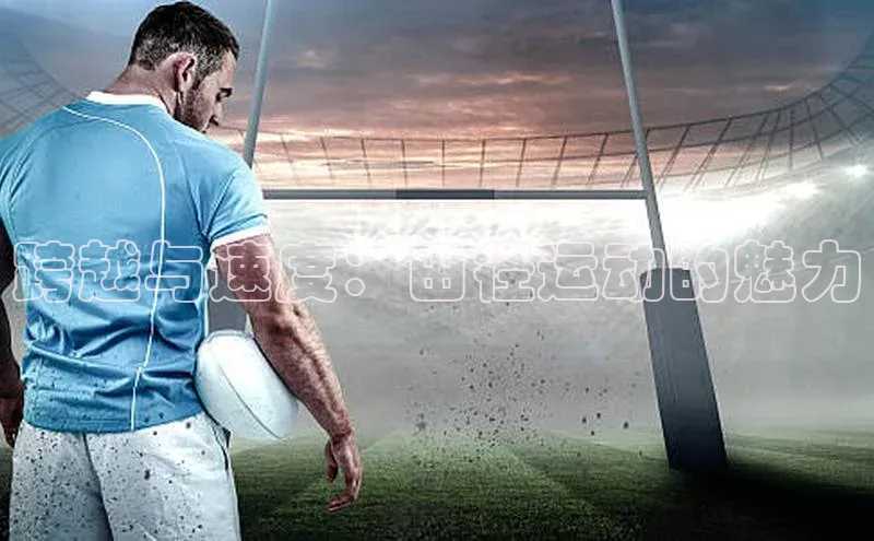 星空手机网页版登录入口