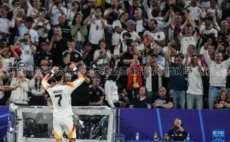 星空体育官网在线