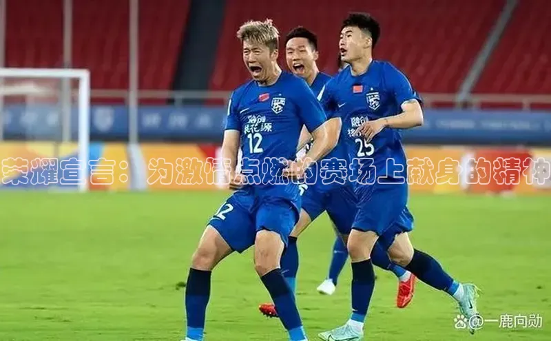 荣耀宣言：为激情点燃的赛场上献身的精神