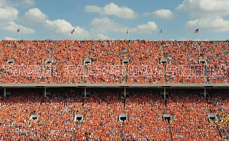 星空体育在线网页版